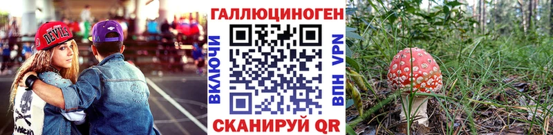 Купить Ивантеевка Псилоцибиновые грибы Psilocybe